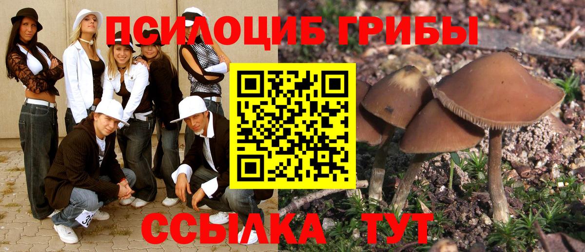 Псилоцибиновые грибы Psilocybe  Галлюциногенные грибы прущие грибы  Вход с VPN  Южноуральск 